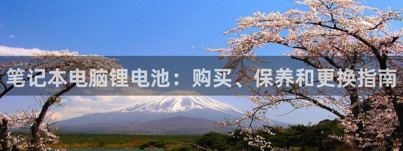 尊龙服饰有限公司地址：笔记本电脑锂电池：购买、保养和更换指南