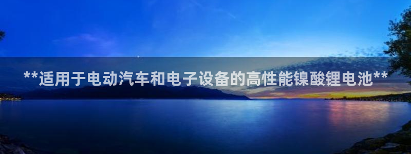 尊龙官网免费下载安卓：**适用于电动汽车和电子设备的高性能镍酸锂电池**